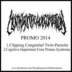 Morphogenetic Malformation : Demo 2014